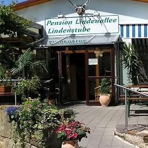 Lindenallee Deutschland