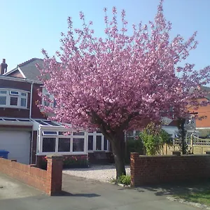 Cherry Blossom Bed & Breakfast