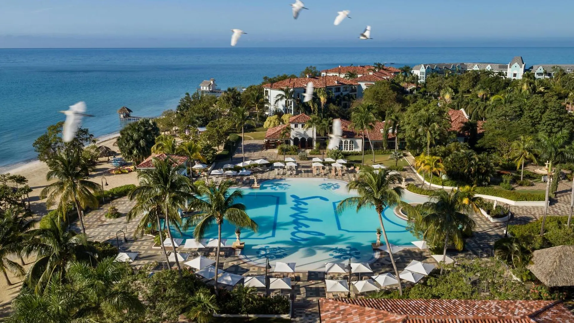 ***** Station touristique Sandals South Coast All Inclusive - Couples Only (Adults Only) Savanna-la-Mar Jamaïque